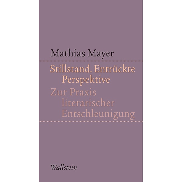 Stillstand. Entrückte Perspektive / Kleine Schriften zur literarischen Ästhetik und Hermeneutik, Mathias Mayer