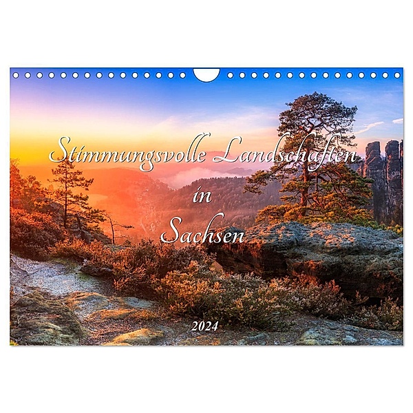 Stimmungsvolle Landschaften in Sachsen 2024 (Wandkalender 2024 DIN A4 quer), CALVENDO Monatskalender, Daniela Beyer (Moqui)