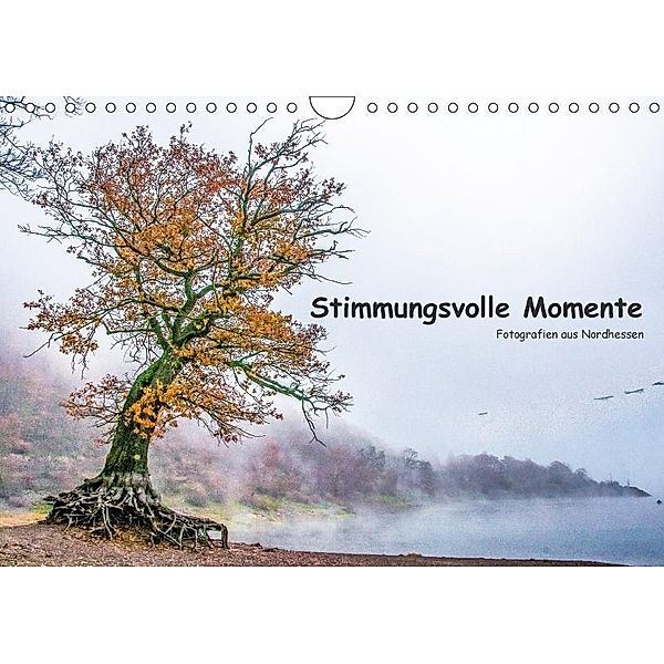 Stimmungsvolle Momente (Wandkalender 2017 DIN A4 quer), Wolfgang Nickel