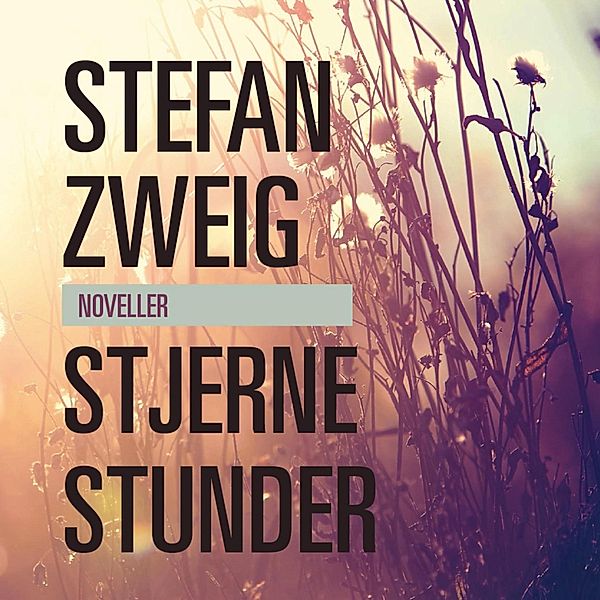 Stjernestunder (uforkortet), Stefan Zweig