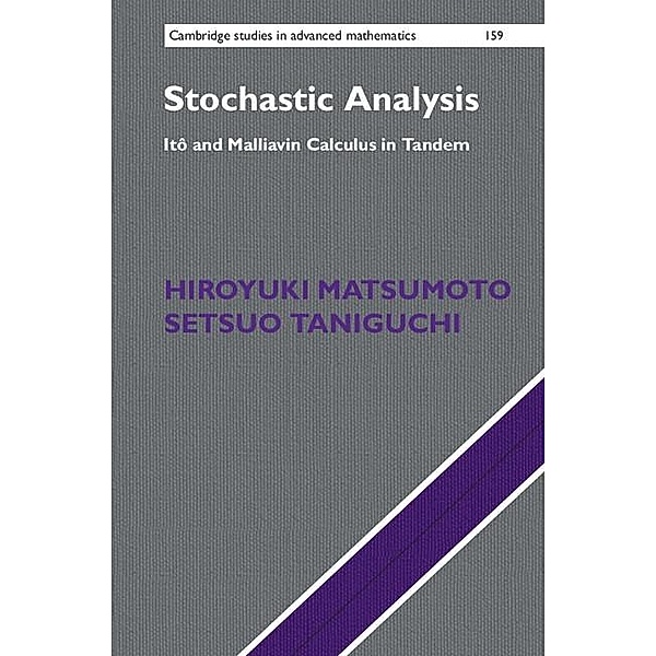 Stochastic Analysis / Cambridge Studies in Advanced Mathematics, Hiroyuki Matsumoto
