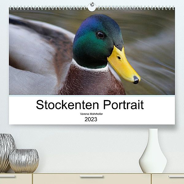 Stockenten Portrait (Premium, hochwertiger DIN A2 Wandkalender 2023, Kunstdruck in Hochglanz), Verena Mahrhofer