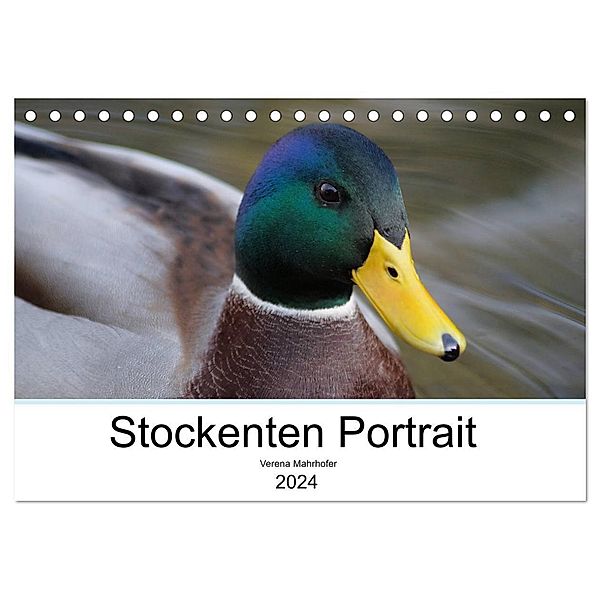 Stockenten Portrait (Tischkalender 2024 DIN A5 quer), CALVENDO Monatskalender, Verena Mahrhofer