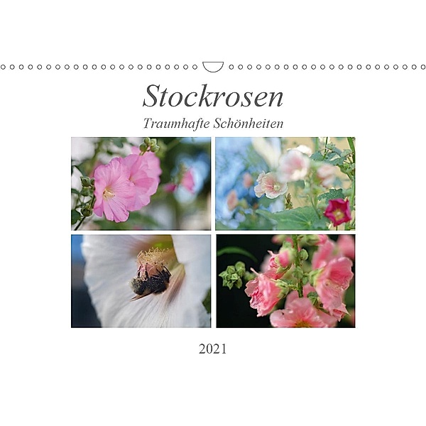 Stockrosen - Traumhafte Schönheiten (Wandkalender 2021 DIN A3 quer), Kai Kupfer