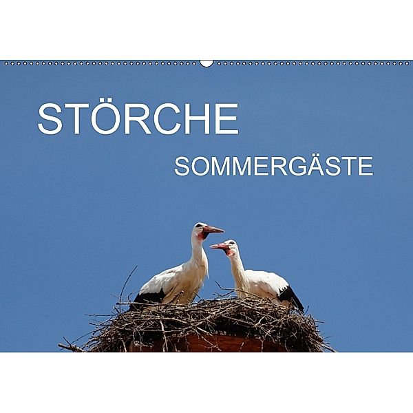 Störche - SommergästeAT-Version (Wandkalender 2018 DIN A2 quer), Anette Jäger