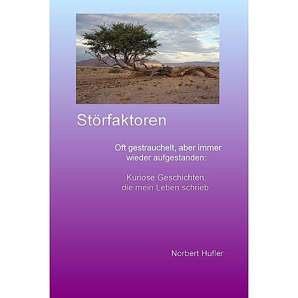 Störfaktoren, Norbert Hufler