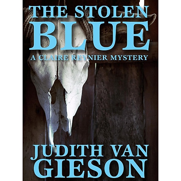 Stolen Blue, Judith Van Gieson