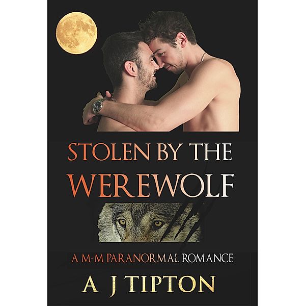 Stolen by the Werewolf: A M-M Paranormal Romance (Werewolves of Singer Valley, #1) / Werewolves of Singer Valley, Aj Tipton