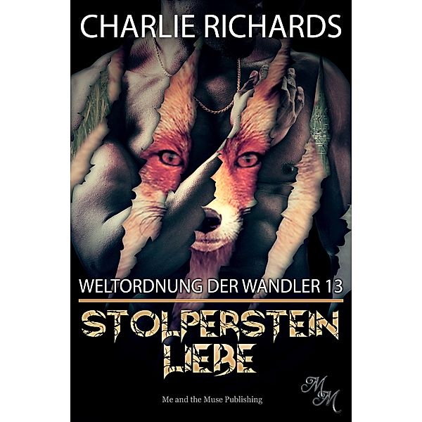 Stolperstein Liebe / Weltordnung der Wandler Bd.13, Charlie Richards