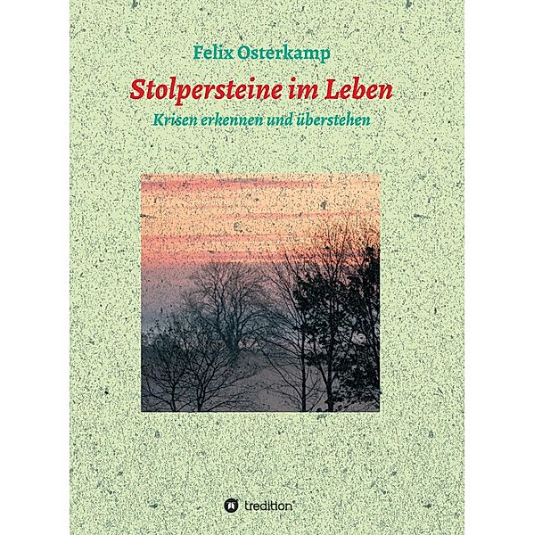 Stolpersteine im Leben - Krisen erkennen und überstehen, Felix-Daniel Osterkamp