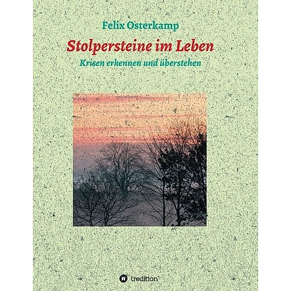 Stolpersteine im Leben - Krisen erkennen und überstehen, Felix-Daniel Osterkamp