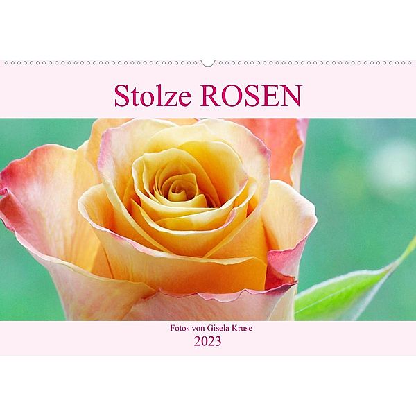 Stolze Rosen (Wandkalender 2023 DIN A2 quer), Gisela Kruse