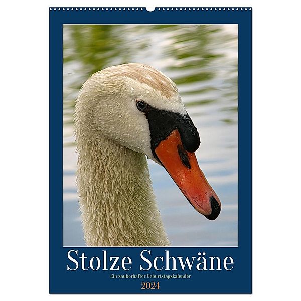 Stolze Schwäne (Wandkalender 2024 DIN A2 hoch), CALVENDO Monatskalender, Calvendo, Sabine Löwer