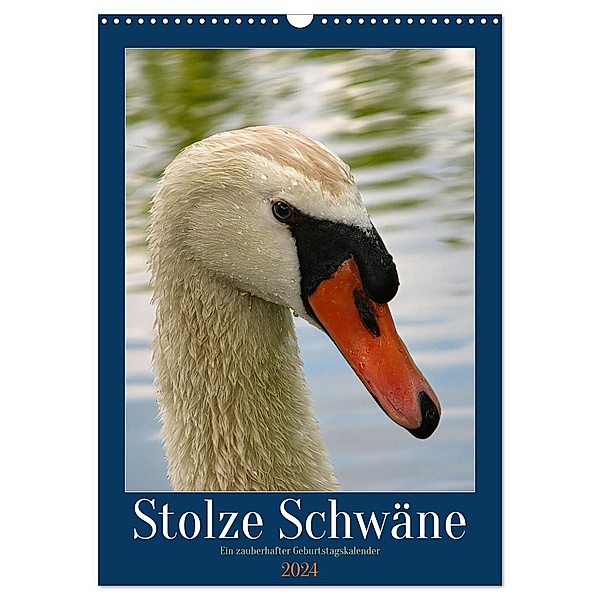 Stolze Schwäne (Wandkalender 2024 DIN A3 hoch), CALVENDO Monatskalender, Calvendo, Sabine Löwer
