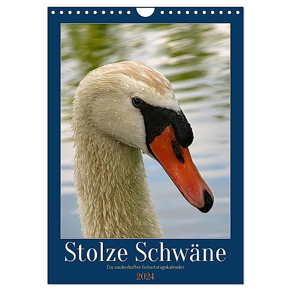 Stolze Schwäne (Wandkalender 2024 DIN A4 hoch), CALVENDO Monatskalender, Calvendo, Sabine Löwer