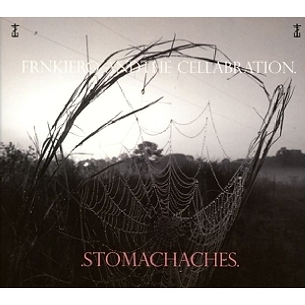 Stomachaches, Frank Iero, & The Celebration