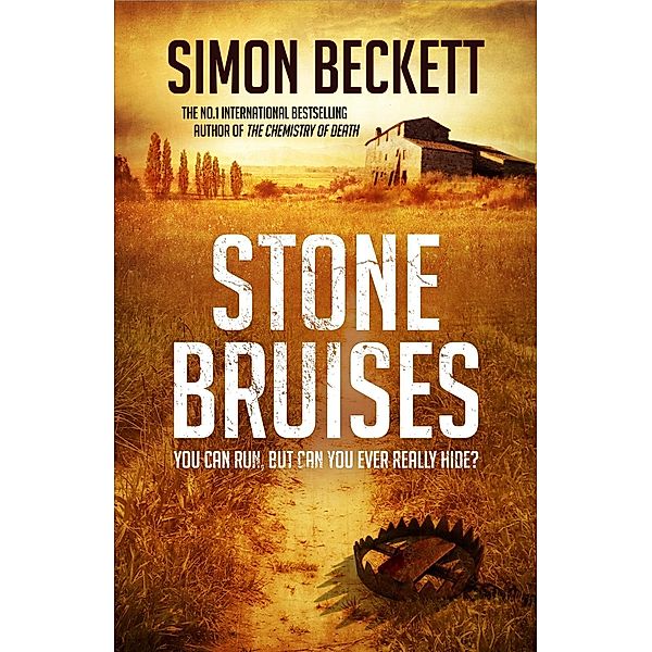 Stone Bruises, Simon Beckett