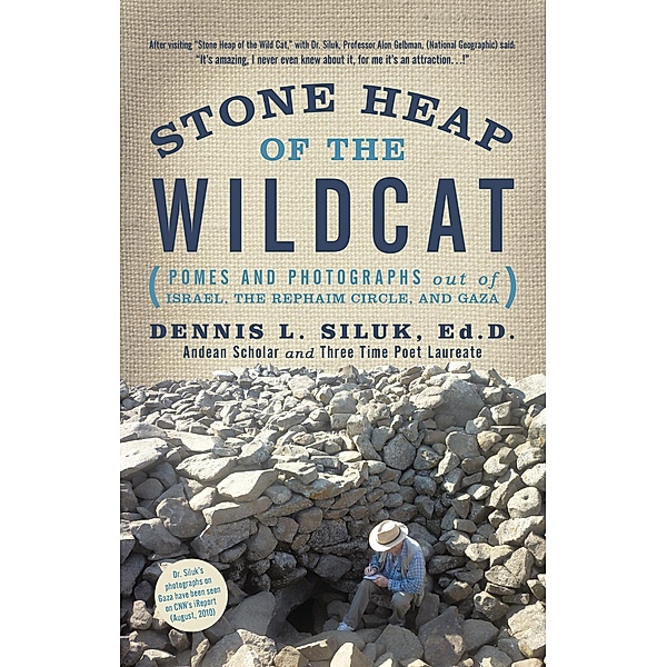 Stone Heap of the Wildcat, Dennis L. Siluk Ed. D.