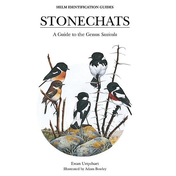 Stonechats / Helm Identification Guides, Ewan Urquhart