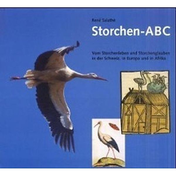 Storchen-ABC, René Salathé