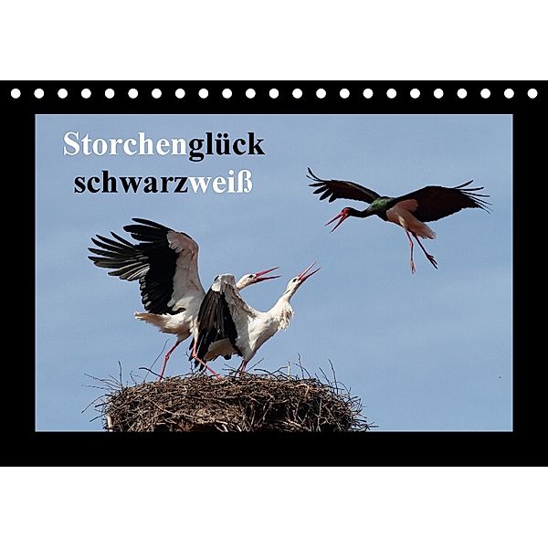 Storchenglück schwarzweiß (Tischkalender 2018 DIN A5 quer), Günter Bachmeier