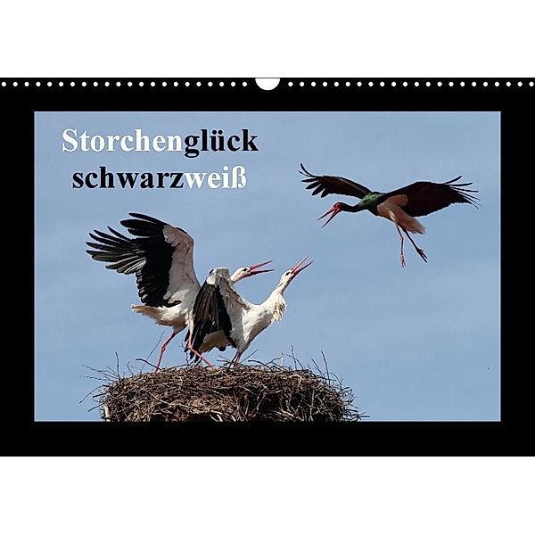 Storchenglück schwarzweiß (Wandkalender 2017 DIN A3 quer), Günter Bachmeier