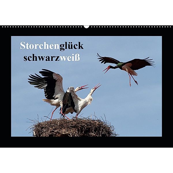 Storchenglück schwarzweiß (Wandkalender 2020 DIN A2 quer), Günter Bachmeier