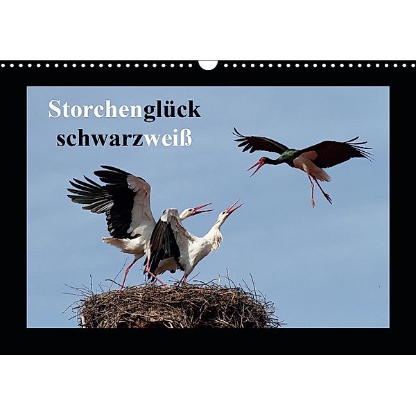 Storchenglück schwarzweiß (Wandkalender 2021 DIN A3 quer), Günter Bachmeier
