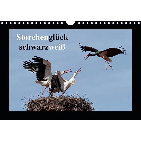 Storchenglück schwarzweiß (Wandkalender 2021 DIN A4 quer), Günter Bachmeier