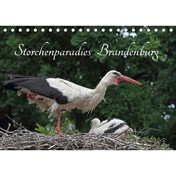 Storchenparadies Brandenburg (Tischkalender 2017 DIN A5 quer), Klaus Konieczka