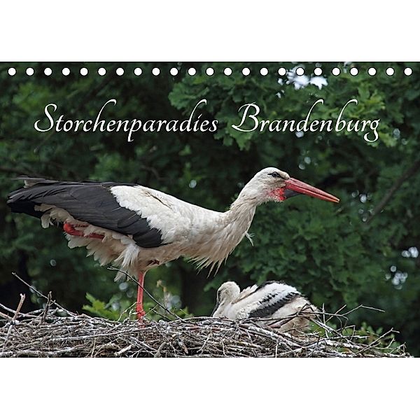 Storchenparadies Brandenburg (Tischkalender 2018 DIN A5 quer), Klaus Konieczka