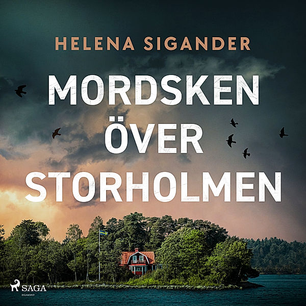 Storhomsdeckarna - 1 - Mordsken över Storholmen, Helena Sigander