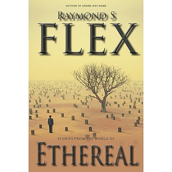 Stories From The World Of Ethereal (Long Way Home), Raymond S Flex
