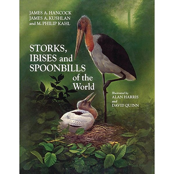 Storks, Ibises and Spoonbills of the World / Helm Identification Guides, James Hancock, James A. Kushlan, M. Philip Kahl