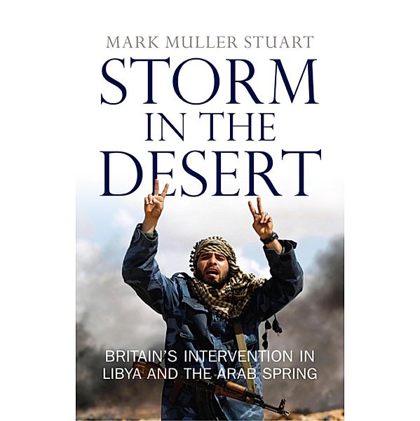 Storm in the Desert, Mark Muller Stuart