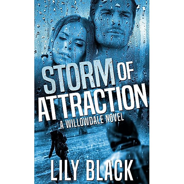 Storm of Attraction (Willowdale, #1) / Willowdale, Lily Black