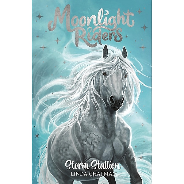 Storm Stallion / Moonlight Riders Bd.2, Linda Chapman