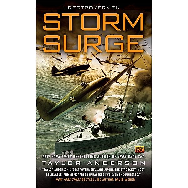Storm Surge / Destroyermen Bd.8, Taylor Anderson