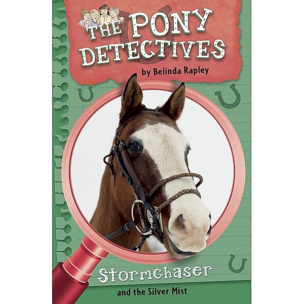 Stormchaser and the Silver Mist / The Pony Detectives Bd.6, Belinda Rapley