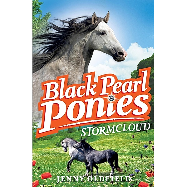 Stormcloud / Black Pearl Ponies Bd.4, Jenny Oldfield