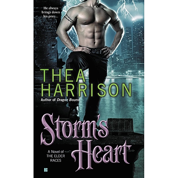 Storm's Heart / A Novel of the Elder Races Bd.2, Thea Harrison