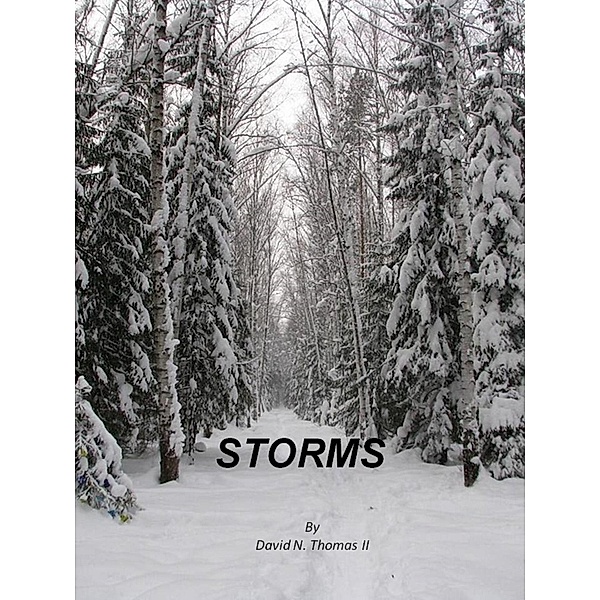 Storms (Steven Thomas, #4) / Steven Thomas, David Thomas