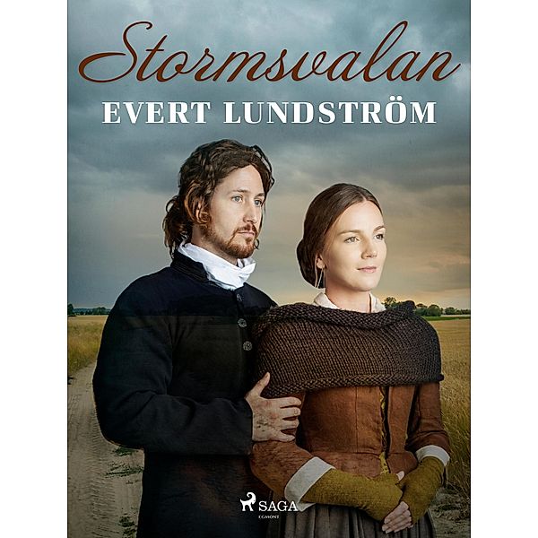 Stormsvalan / David Forsman Bd.1, Evert Lundström