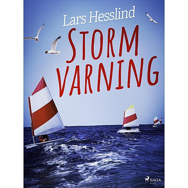 Stormvarning / En serie om Johan i Marstrand Bd.1, Lars Hesslind