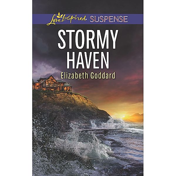 Stormy Haven / Coldwater Bay Intrigue, Elizabeth Goddard