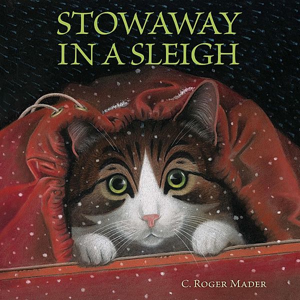 Stowaway in a Sleigh / Clarion Books, Roger Mader