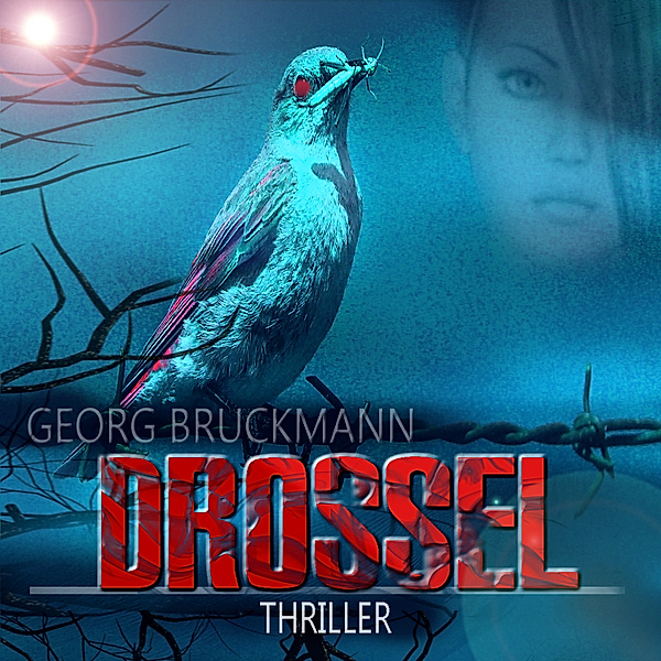 Strähnchen und der Killer - 2 - DROSSEL, Georg Bruckmann