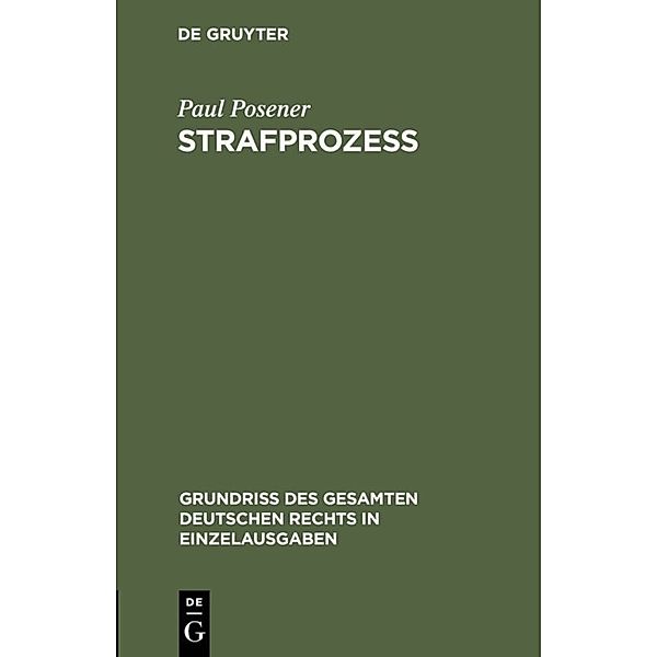 Strafprozess, Paul Posener