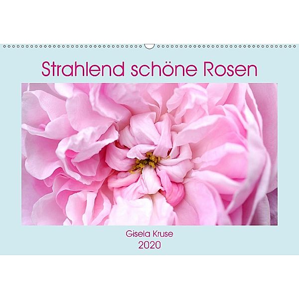 Strahlend schöne Rosen (Wandkalender 2020 DIN A2 quer), Gisela Kruse