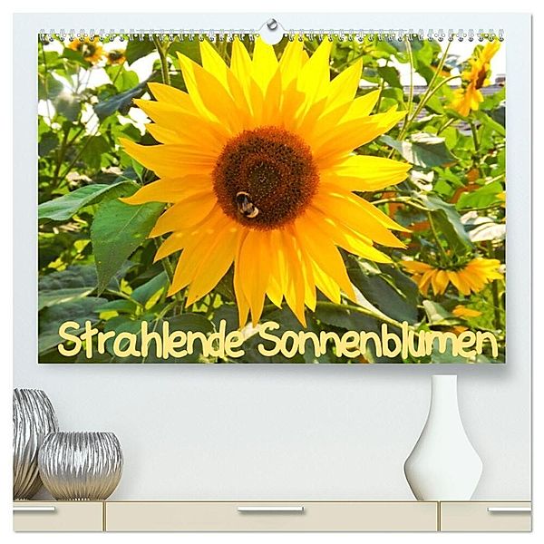 Strahlende Sonnenblumen / CH - Version (hochwertiger Premium Wandkalender 2024 DIN A2 quer), Kunstdruck in Hochglanz, Karin Sigwarth